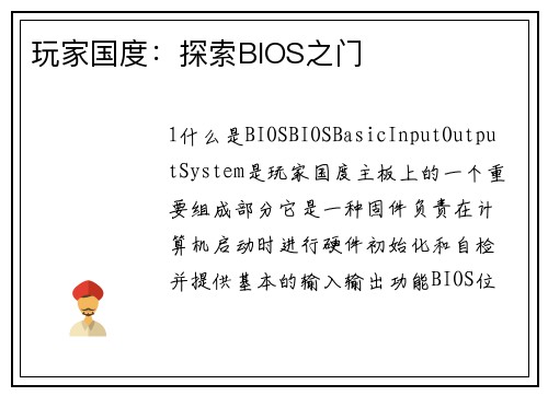 玩家国度：探索BIOS之门